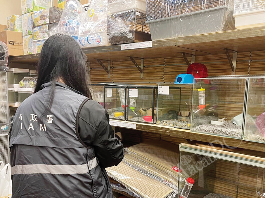 Local pet shops’ hamsters all test negative for COVID19 IAM
