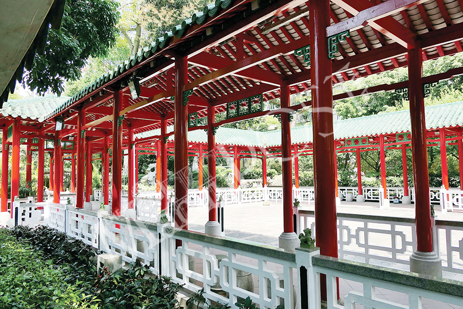 ‘Harmonics Corridor’:  A night of string & lights in bucolic park