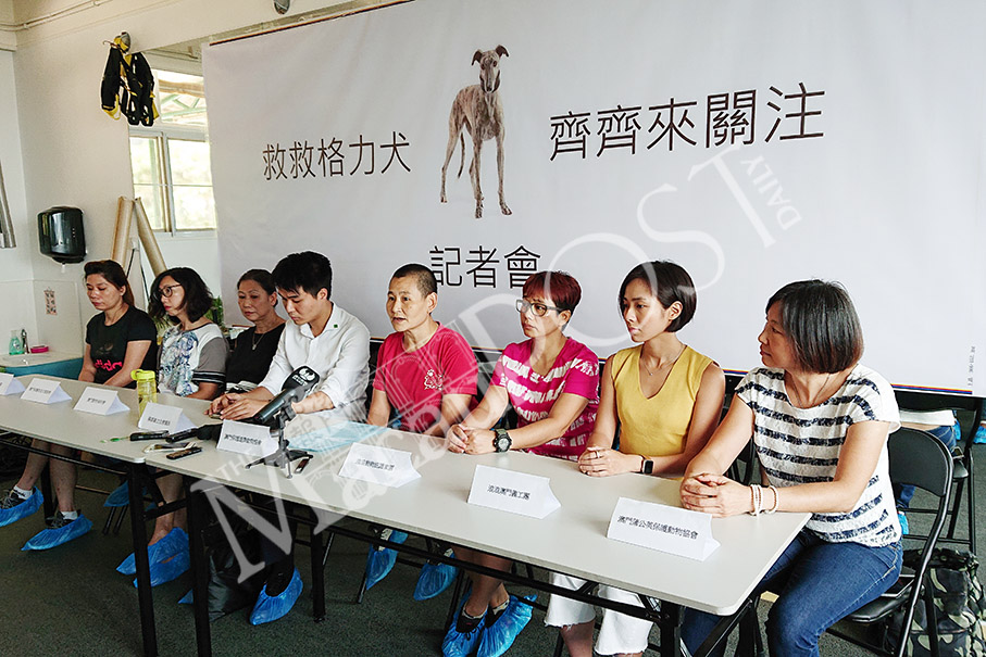 8 groups urge govt  to ensure greyhounds won’t  end up on mainland