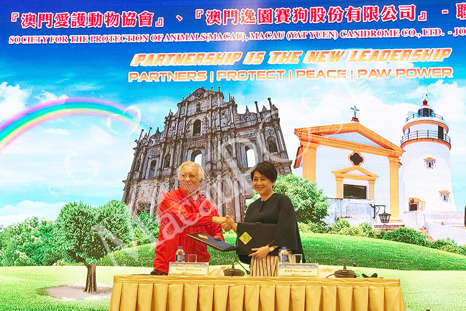 Canidrome sets up int’l greyhound  rehoming centre, run by Anima