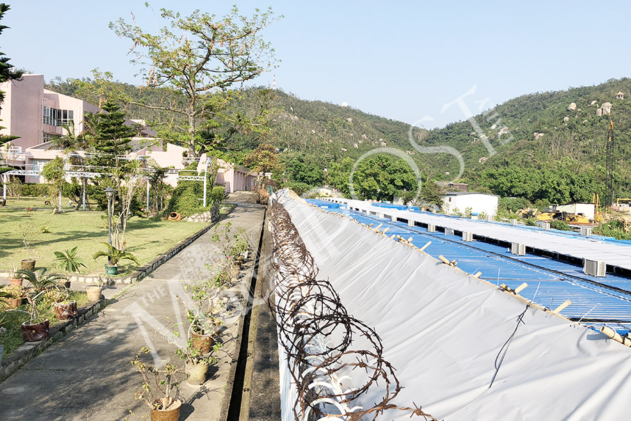 Govt nixes plan to house greyhounds next to old people’s home