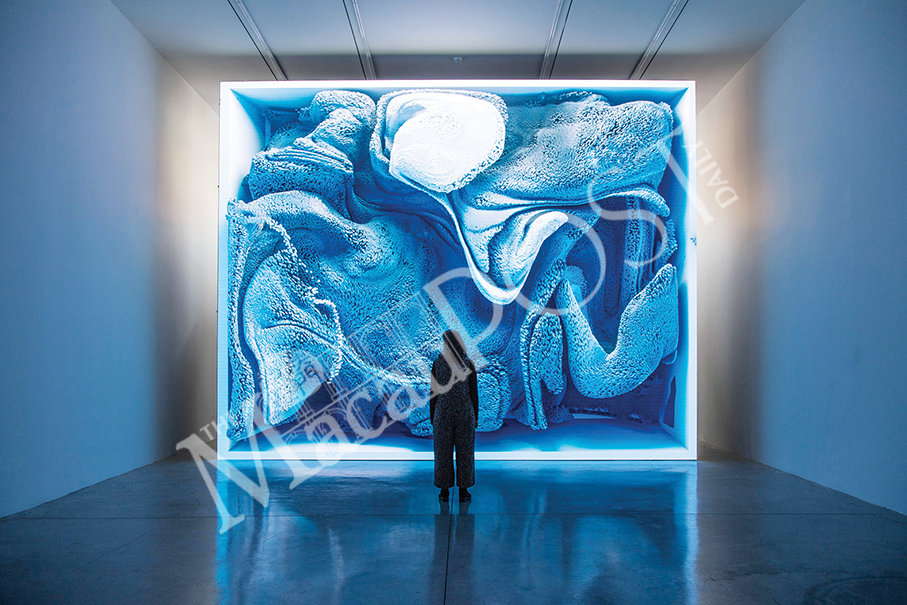 Wynn to open ‘Garden of Earthly Delights’-themed art exhibition