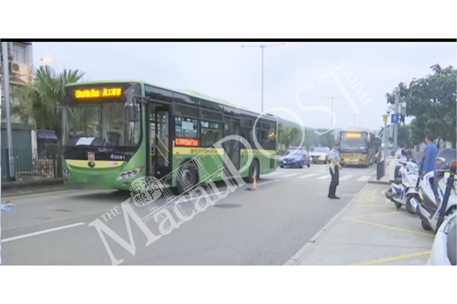 Woman dies after being hit on zebra crossing by bus