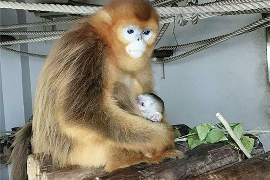 IAM finds ‘abandoned’ prairie dog in park 