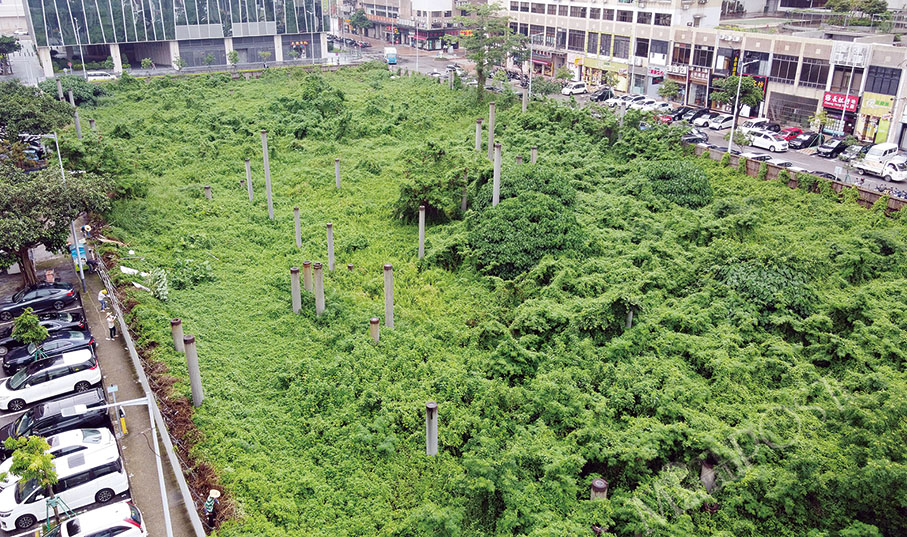 Govt repossess idle plot in Nape