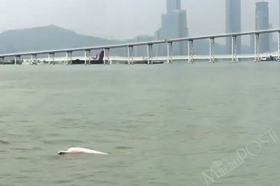 4 groups ask govt to step up efforts to protect ocean