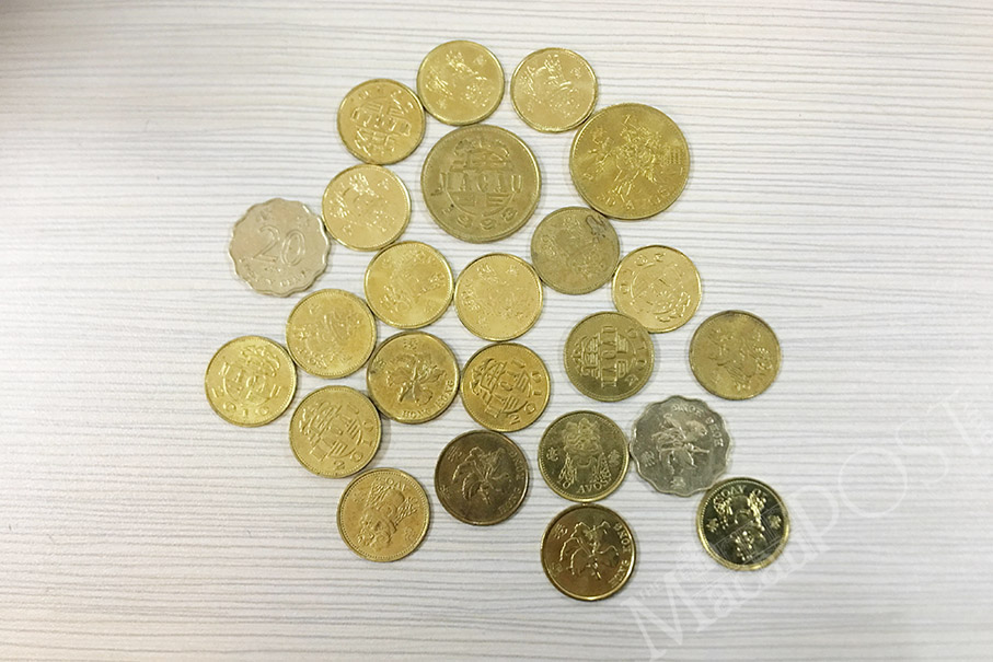 Council urges govt to launch coin collection programme