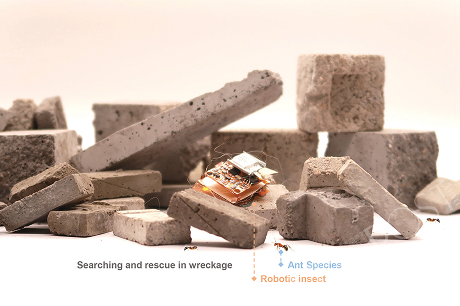 Researchers develop ‘ultrahigh agility’ robotic insects: UM