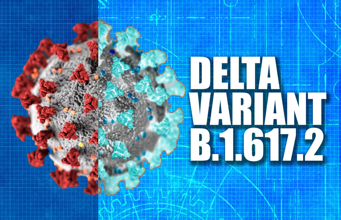 716,251 people in Macau tested for COVID-19 over Delta variant scare 