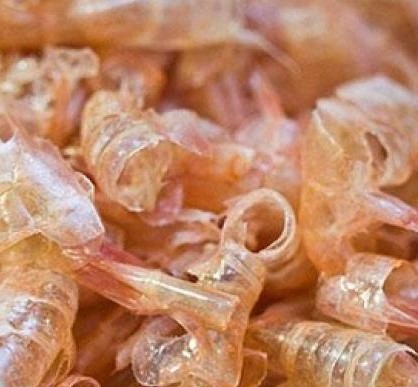 Portuguese researchers use shrimp shells to replace oil