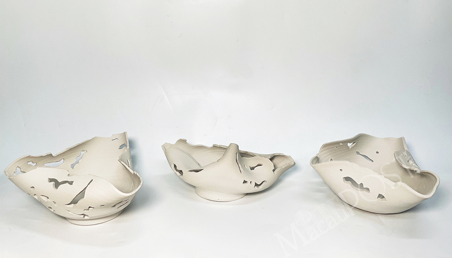 Local artist puts on ‘Not a Bed of Roses’ exhibition