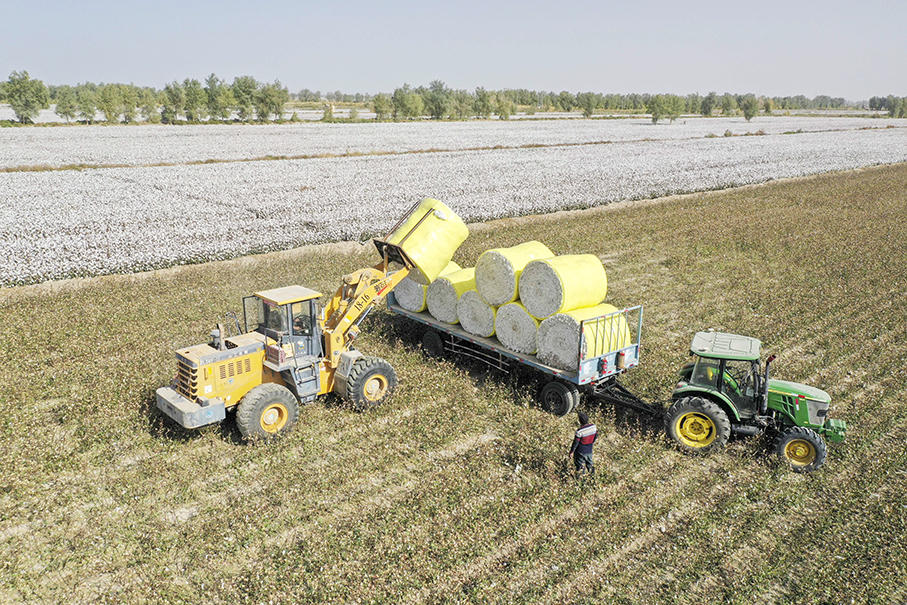 Smear campaign against Xinjiang doomed to fail: Xinhua analysis 