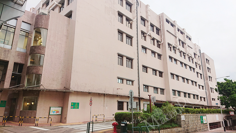 Elderly scrub typhus infectee in critical condition: SSM