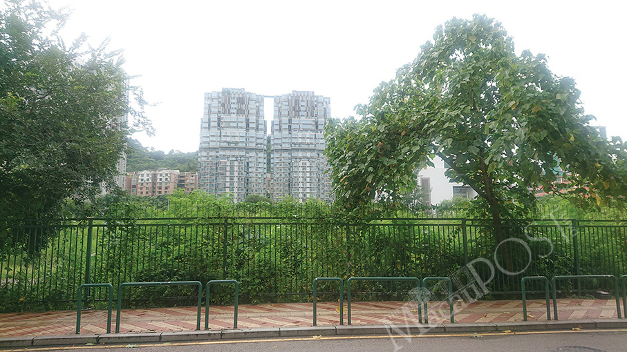 Taipa land auction for 2 plots receives just 1 bid for 1 plot 