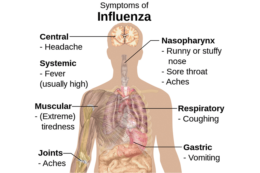 Health Bureau (SSM) urges public to safeguard against flu, COVID-19 infections