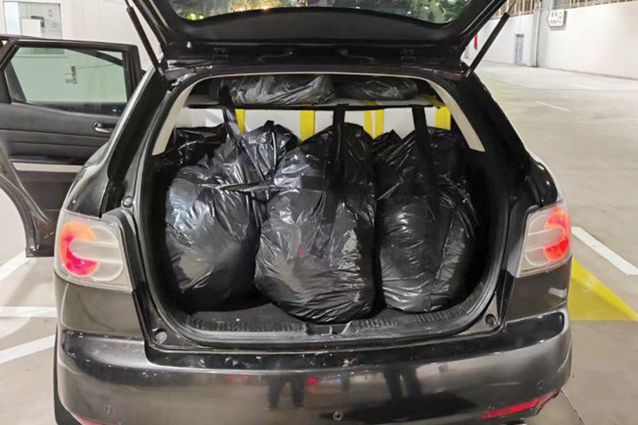 Local man tries to smuggle 386 live lobsters from Macau to mainland