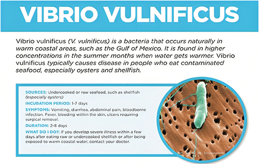 Local man dies from Vibrio vulnificus after eating seafood