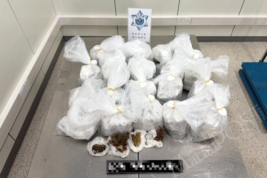 Customs seizes 50 kg of stony corals at mega bridge