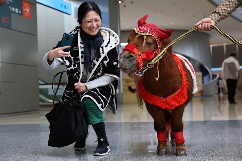 Year of the Horse carries message of resilience, solidarity, industriousness